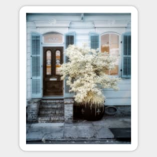 Shotgun Home Facade Infrared Sticker